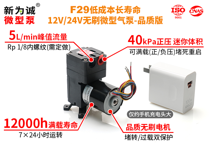 F29-01